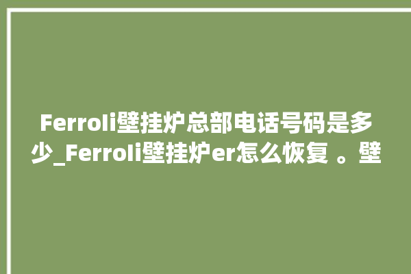 FerroIi壁挂炉总部电话号码是多少_FerroIi壁挂炉er怎么恢复 。壁挂炉