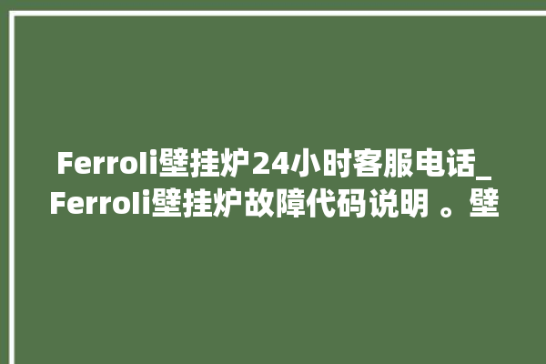 FerroIi壁挂炉24小时客服电话_FerroIi壁挂炉故障代码说明 。壁挂炉