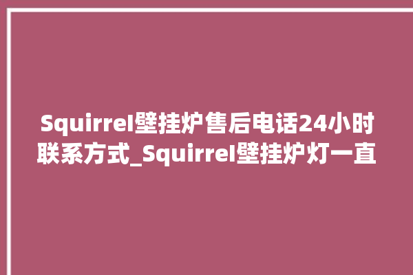 SquirreI壁挂炉售后电话24小时联系方式_SquirreI壁挂炉灯一直闪烁 。壁挂炉