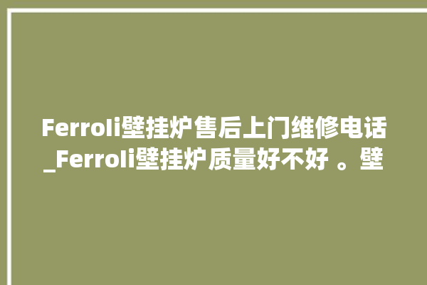 FerroIi壁挂炉售后上门维修电话_FerroIi壁挂炉质量好不好 。壁挂炉