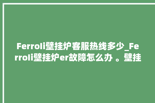 FerroIi壁挂炉客服热线多少_FerroIi壁挂炉er故障怎么办 。壁挂炉