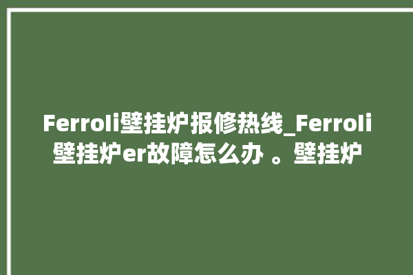 FerroIi壁挂炉报修热线_FerroIi壁挂炉er故障怎么办 。壁挂炉