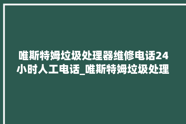 唯斯特姆垃圾处理器维修电话24小时人工电话_唯斯特姆垃圾处理器说明书 。斯特