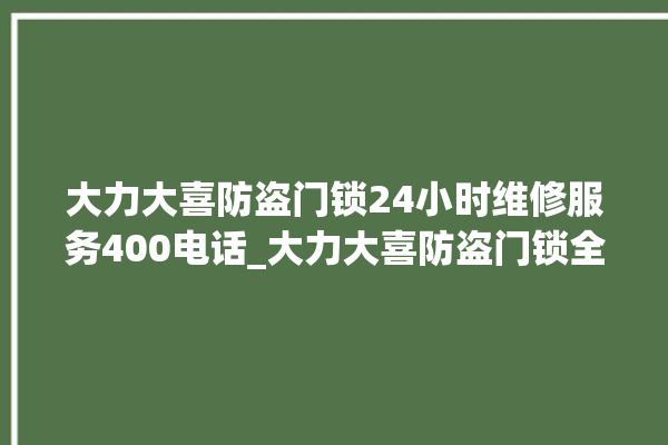 大力大喜防盗门锁24小时维修服务400电话_大力大喜防盗门锁全国服务热线 。门锁