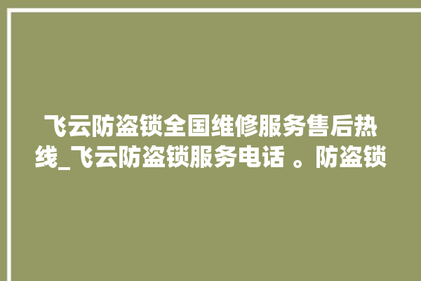 飞云防盗锁全国维修服务售后热线_飞云防盗锁服务电话 。防盗锁