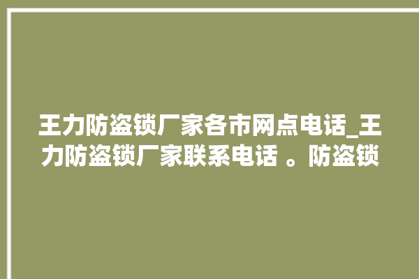 王力防盗锁厂家各市网点电话_王力防盗锁厂家联系电话 。防盗锁