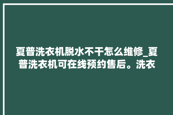 夏普洗衣机脱水不干怎么维修_夏普洗衣机可在线预约售后。洗衣机_在线