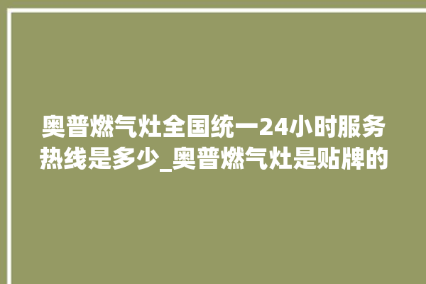 奥普燃气灶全国统一24小时服务热线是多少_奥普燃气灶是贴牌的吗 。燃气灶