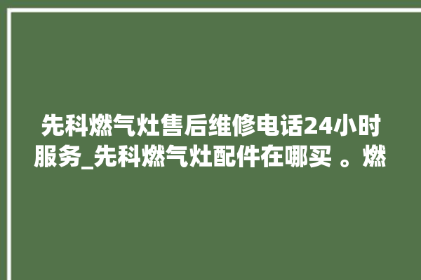 先科燃气灶售后维修电话24小时服务_先科燃气灶配件在哪买 。燃气灶