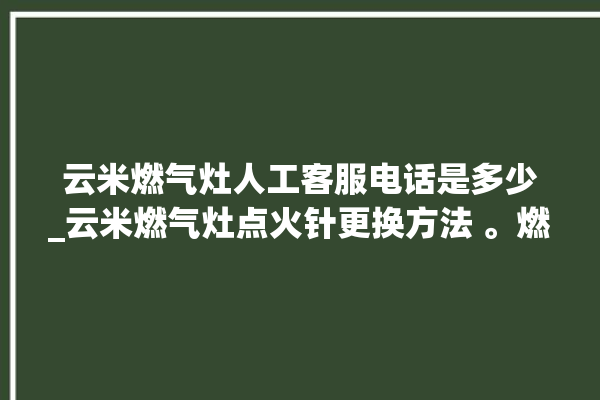 云米燃气灶人工客服电话是多少_云米燃气灶点火针更换方法 。燃气灶