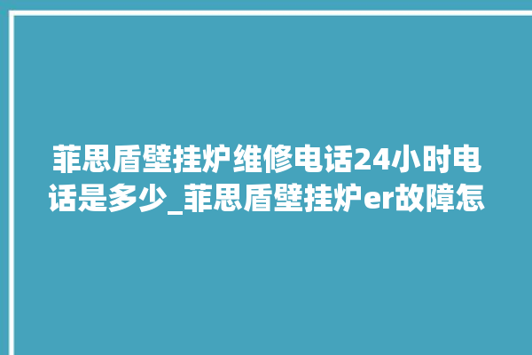 菲思盾壁挂炉维修电话24小时电话是多少_菲思盾壁挂炉er故障怎么办 。电话