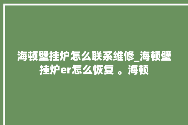 海顿壁挂炉怎么联系维修_海顿壁挂炉er怎么恢复 。海顿