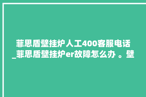 菲思盾壁挂炉人工400客服电话_菲思盾壁挂炉er故障怎么办 。壁挂炉