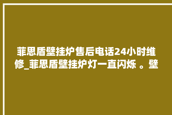 菲思盾壁挂炉售后电话24小时维修_菲思盾壁挂炉灯一直闪烁 。壁挂炉