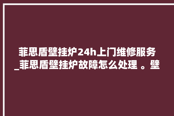 菲思盾壁挂炉24h上门维修服务_菲思盾壁挂炉故障怎么处理 。壁挂炉