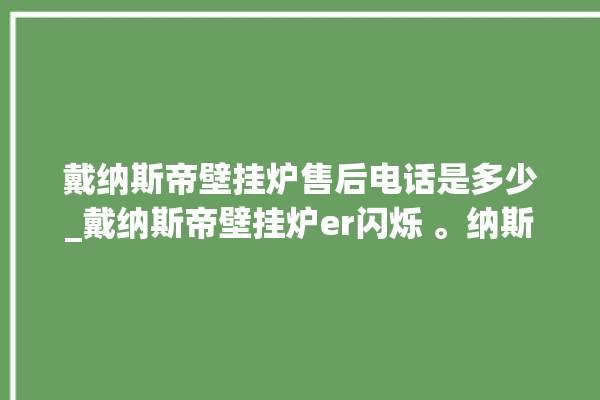 戴纳斯帝壁挂炉售后电话是多少_戴纳斯帝壁挂炉er闪烁 。纳斯