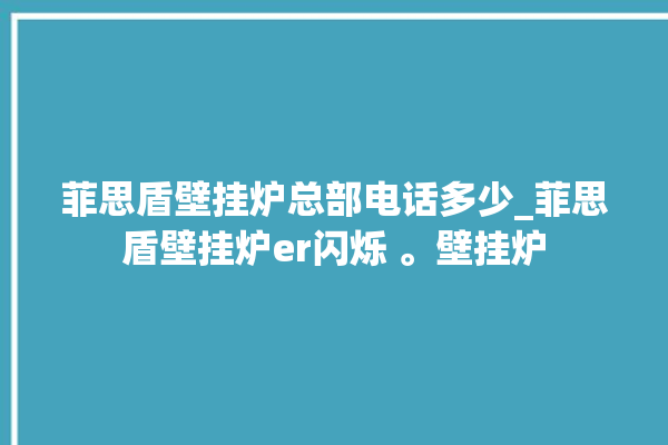 菲思盾壁挂炉总部电话多少_菲思盾壁挂炉er闪烁 。壁挂炉