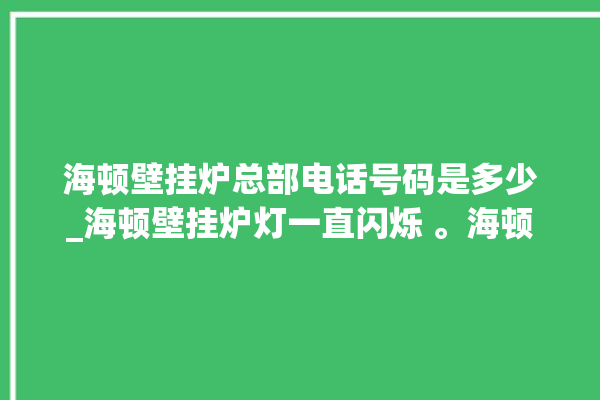 海顿壁挂炉总部电话号码是多少_海顿壁挂炉灯一直闪烁 。海顿