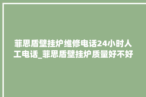 菲思盾壁挂炉维修电话24小时人工电话_菲思盾壁挂炉质量好不好 。电话