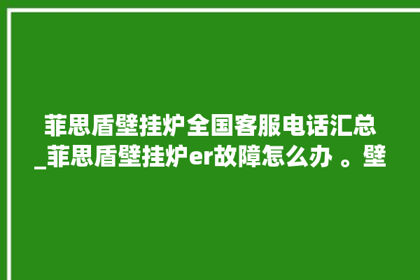 菲思盾壁挂炉全国客服电话汇总_菲思盾壁挂炉er故障怎么办 。壁挂炉