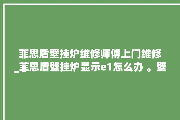 菲思盾壁挂炉维修师傅上门维修_菲思盾壁挂炉显示e1怎么办 。壁挂炉