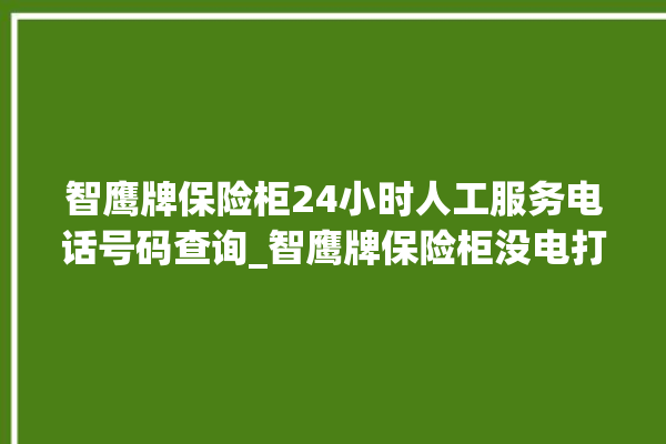 智鹰牌保险柜24小时人工服务电话号码查询_智鹰牌保险柜没电打不开了怎么办 。保险柜