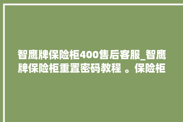 智鹰牌保险柜400售后客服_智鹰牌保险柜重置密码教程 。保险柜