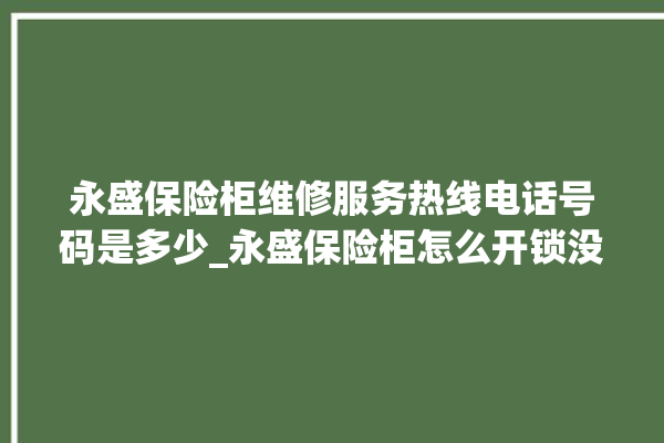 永盛保险柜维修服务热线电话号码是多少_永盛保险柜怎么开锁没电了 。保险柜