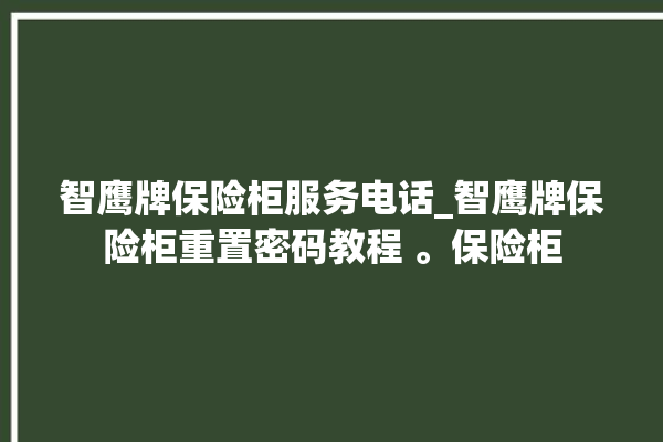 智鹰牌保险柜服务电话_智鹰牌保险柜重置密码教程 。保险柜