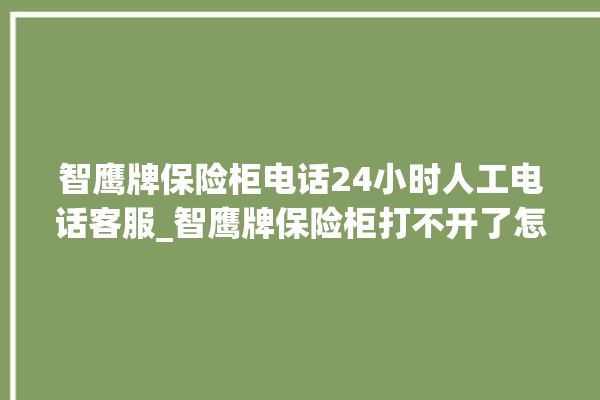 智鹰牌保险柜电话24小时人工电话客服_智鹰牌保险柜打不开了怎么办 。保险柜