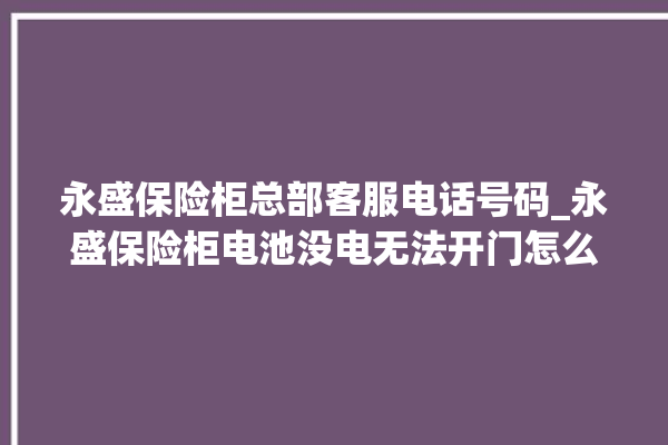 永盛保险柜总部客服电话号码_永盛保险柜电池没电无法开门怎么办 。保险柜