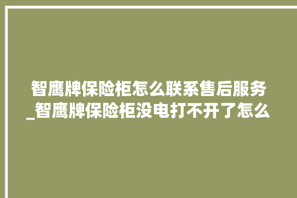 智鹰牌保险柜怎么联系售后服务_智鹰牌保险柜没电打不开了怎么办 。保险柜