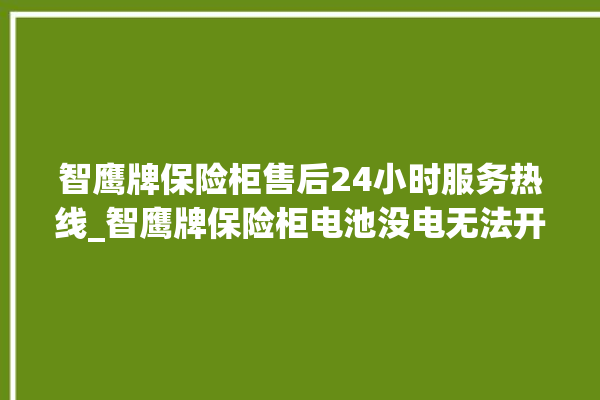 智鹰牌保险柜售后24小时服务热线_智鹰牌保险柜电池没电无法开门怎么办 。保险柜