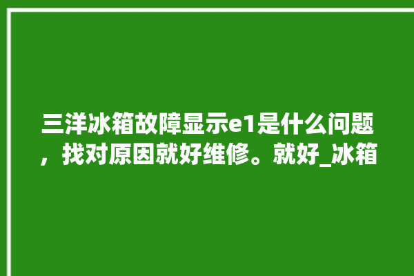 三洋冰箱故障显示e1是什么问题，找对原因就好维修。就好_冰箱