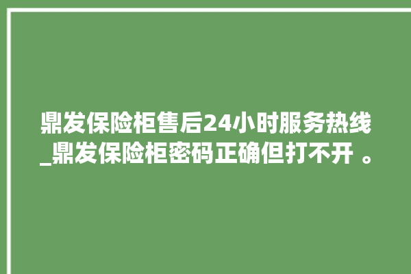 鼎发保险柜售后24小时服务热线_鼎发保险柜密码正确但打不开 。保险柜