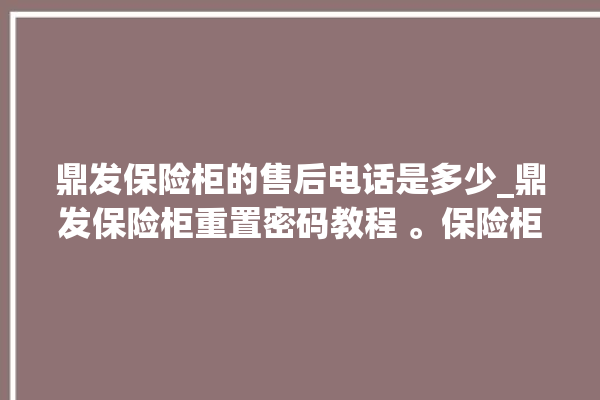 鼎发保险柜的售后电话是多少_鼎发保险柜重置密码教程 。保险柜