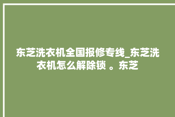 东芝洗衣机全国报修专线_东芝洗衣机怎么解除锁 。东芝