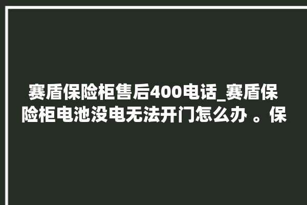 赛盾保险柜售后400电话_赛盾保险柜电池没电无法开门怎么办 。保险柜