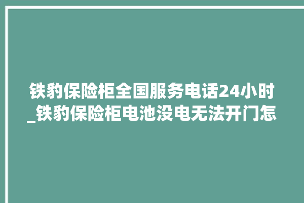 铁豹保险柜全国服务电话24小时_铁豹保险柜电池没电无法开门怎么办 。保险柜