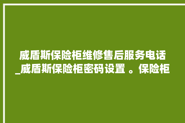 威盾斯保险柜维修售后服务电话_威盾斯保险柜密码设置 。保险柜