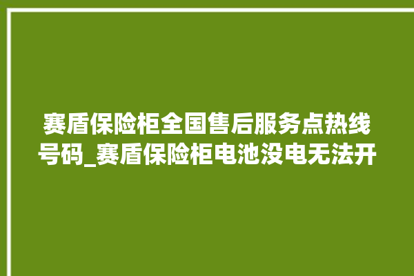 赛盾保险柜全国售后服务点热线号码_赛盾保险柜电池没电无法开门怎么办 。保险柜