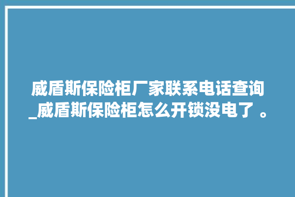 威盾斯保险柜厂家联系电话查询_威盾斯保险柜怎么开锁没电了 。保险柜