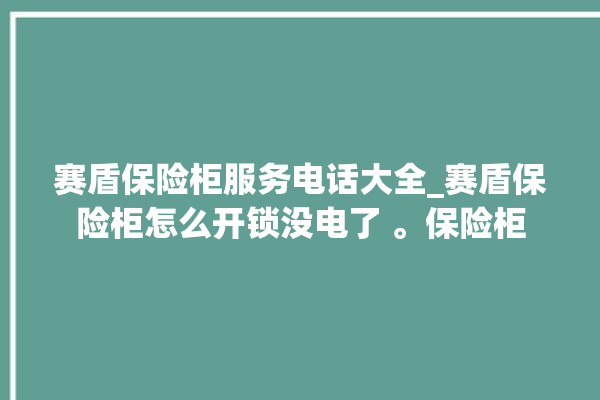 赛盾保险柜服务电话大全_赛盾保险柜怎么开锁没电了 。保险柜