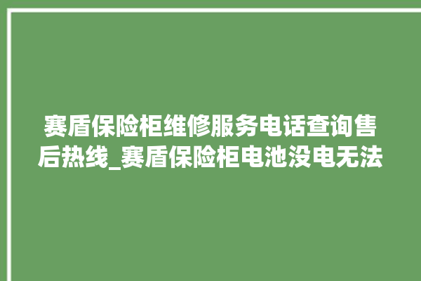 赛盾保险柜维修服务电话查询售后热线_赛盾保险柜电池没电无法开门怎么办 。保险柜