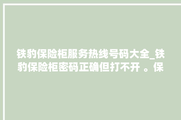 铁豹保险柜服务热线号码大全_铁豹保险柜密码正确但打不开 。保险柜