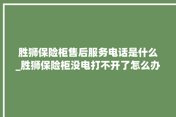 胜狮保险柜售后服务电话是什么_胜狮保险柜没电打不开了怎么办 。保险柜