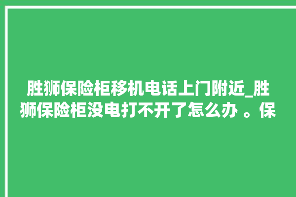 胜狮保险柜移机电话上门附近_胜狮保险柜没电打不开了怎么办 。保险柜