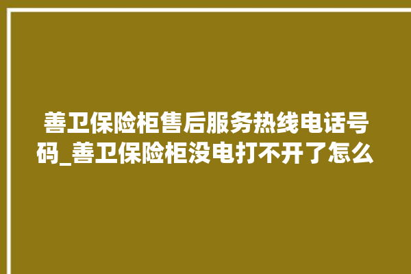 善卫保险柜售后服务热线电话号码_善卫保险柜没电打不开了怎么办 。保险柜