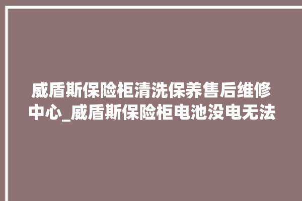 威盾斯保险柜清洗保养售后维修中心_威盾斯保险柜电池没电无法开门怎么办 。保险柜