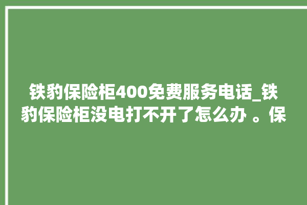 铁豹保险柜400免费服务电话_铁豹保险柜没电打不开了怎么办 。保险柜